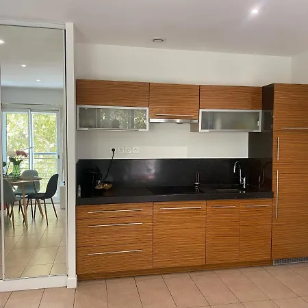 Douillet Centre Apartment Cannes